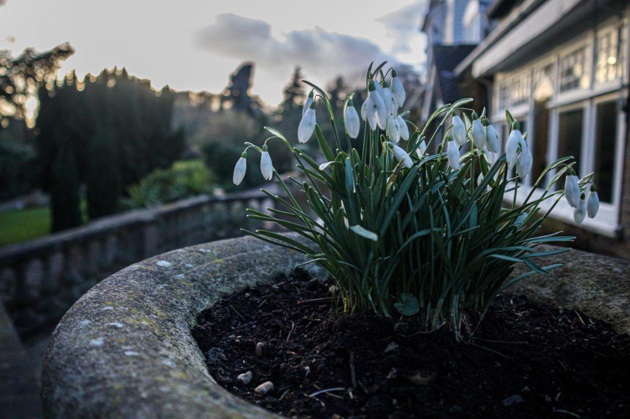 Rowhill Grange Hotel & Utopia Spa Dartford Eksteriør bilde